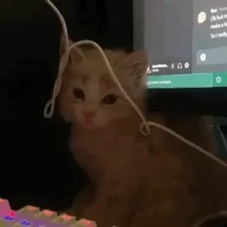 @webcutes | @ok_sticker_bot — 45