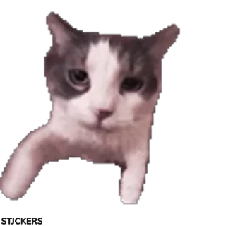 Стикеры ТУТ👇 @ok_sticker_bot — 38