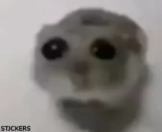 Стикеры ТУТ👇 @ok_sticker_bot — 39
