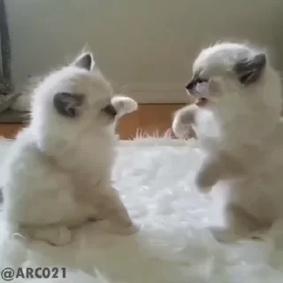 Стикеры ТУТ👇 @ok_sticker_bot — 41
