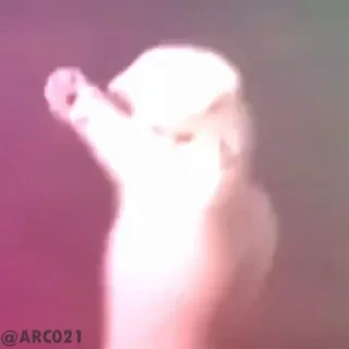 Стикеры ТУТ👇 @ok_sticker_bot — 56