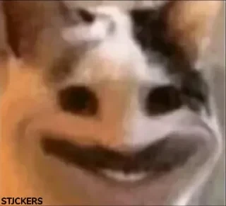 Стикеры ТУТ👇 @ok_sticker_bot — 57