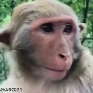 Стикеры ТУТ👇 @ok_sticker_bot — 60