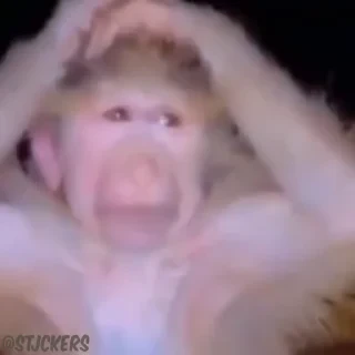 Стикеры ТУТ👇 @ok_sticker_bot — 7