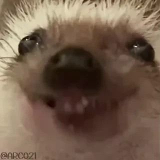 Стикеры ТУТ👇 @ok_sticker_bot — 9