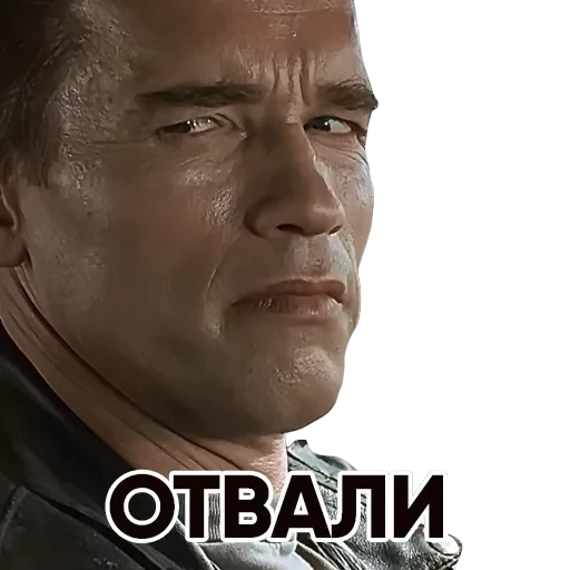 T2 — 32