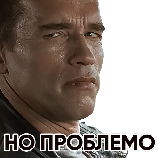 T2 — 33