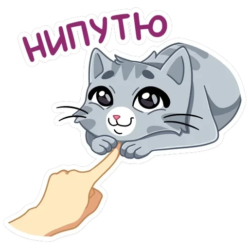 Табби — 17