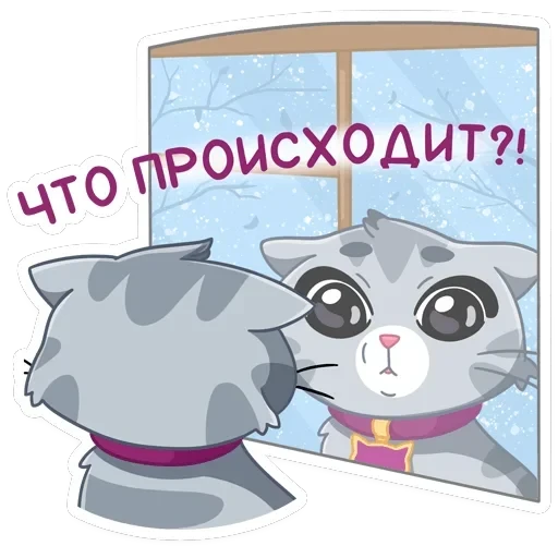 Табби — 19