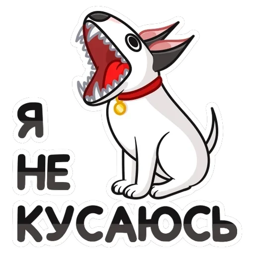 Такер — 13