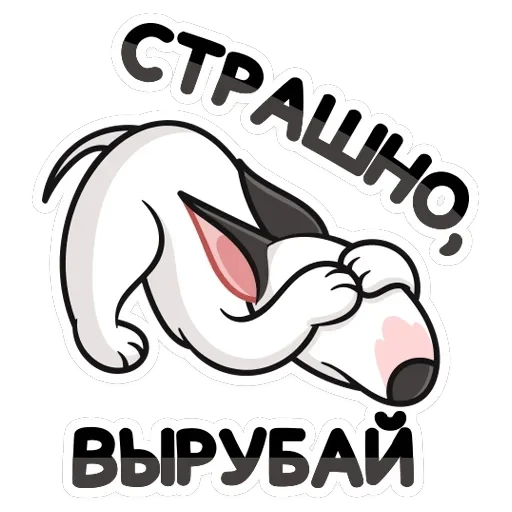 Такер — 16