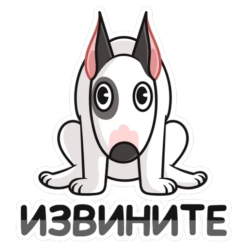 Такер — 37