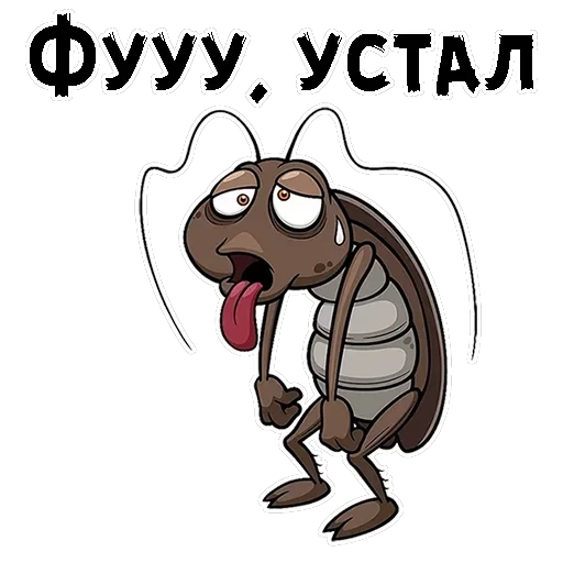 Таракашки — 12