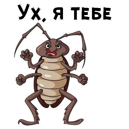 Таракашки — 13