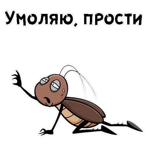 Таракашки — 14