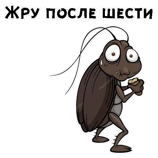 Таракашки — 21