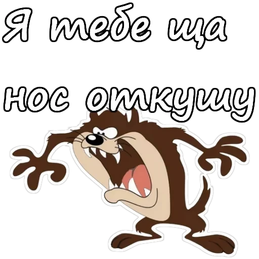 Тасманский дьявол — 11