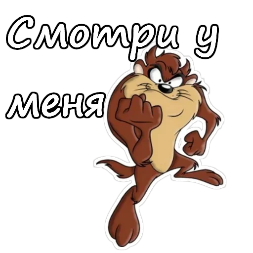 Тасманский дьявол — 16