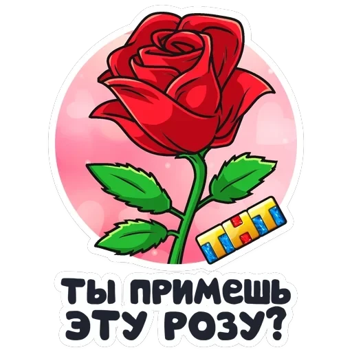 Телеканал ТНТ — 25