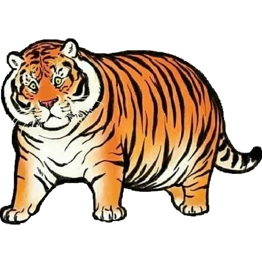 Tiger — 4