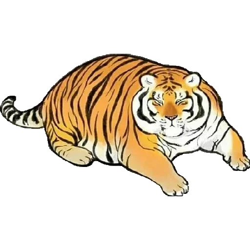Tiger — 5