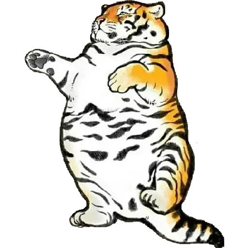Tiger — 6