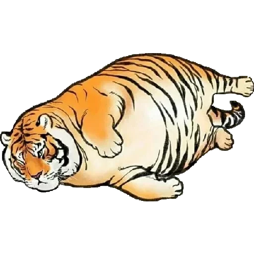 Tiger — 7