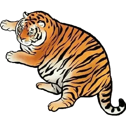 Tiger — 8