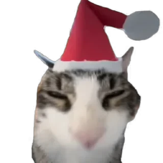TikTok Animals СТИКЕРЫ 👇 @ok_sticker_bot — 2