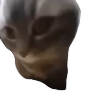 TikTok Animals СТИКЕРЫ 👇 @ok_sticker_bot — 14