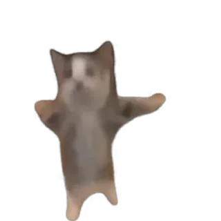 TikTok Animals СТИКЕРЫ 👇 @ok_sticker_bot — 15