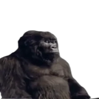 TikTok Animals СТИКЕРЫ 👇 @ok_sticker_bot — 31