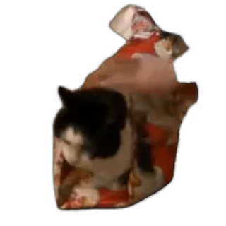 TikTok Animals СТИКЕРЫ 👇 @ok_sticker_bot — 35