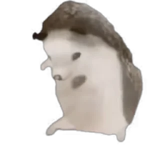 TikTok Animals СТИКЕРЫ 👇 @ok_sticker_bot — 52