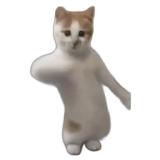 TikTok Animals СТИКЕРЫ 👇 @ok_sticker_bot — 57