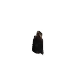 TikTok Animals СТИКЕРЫ 👇 @ok_sticker_bot — 7