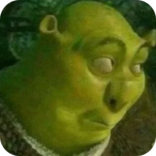 TikTok mem — 17
