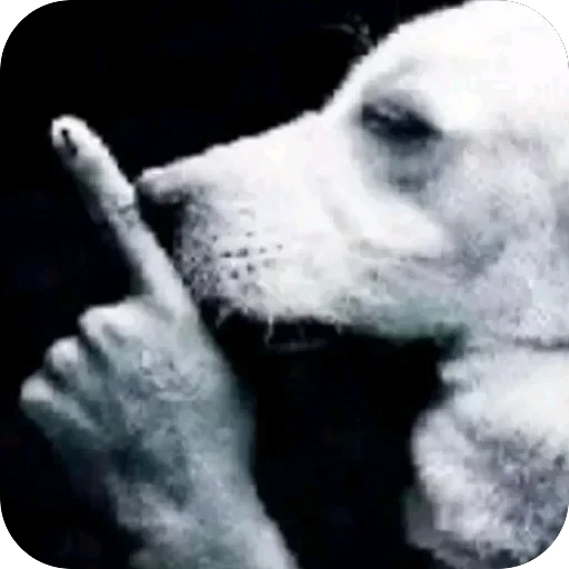 TikTok mem — 40