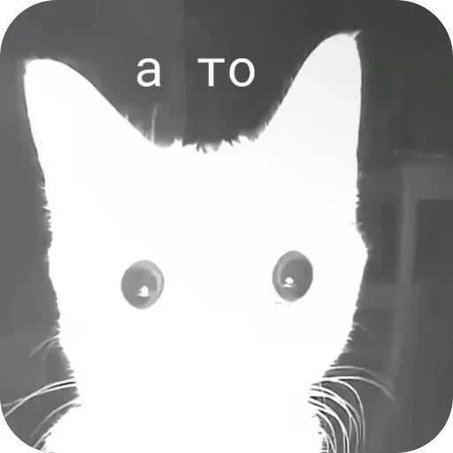 TikTok mem — 45