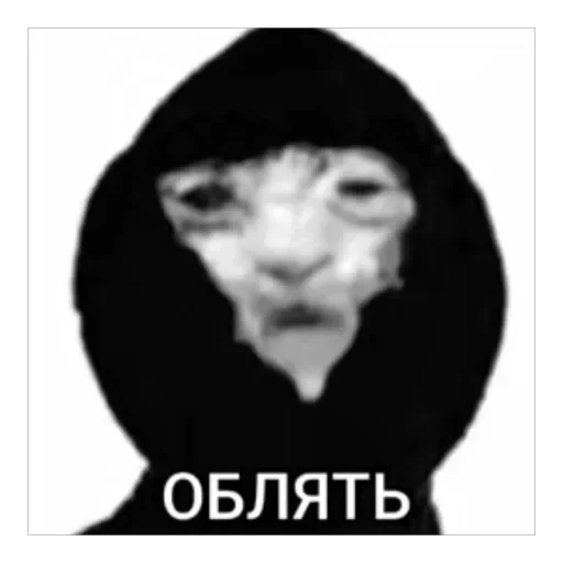 TikTok mem — 48