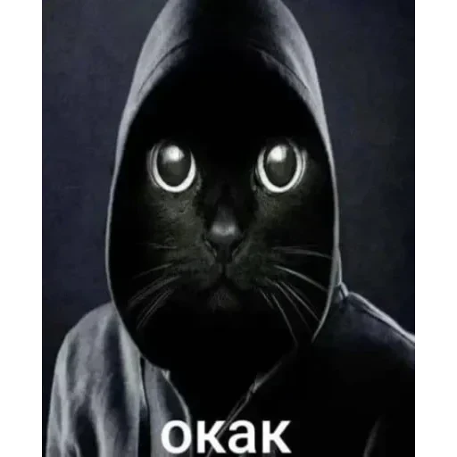 TikTok mem — 49