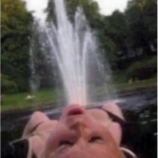 TikTok mem — 60