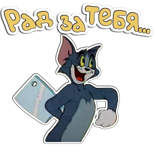 Tom and Jerry — 13