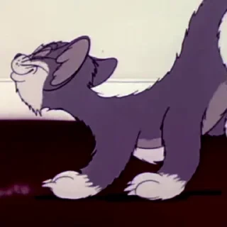 Tom&Jerry — 2