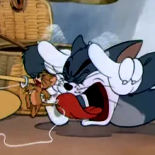 Tom&Jerry — 11