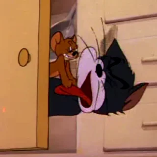 Tom&Jerry — 14