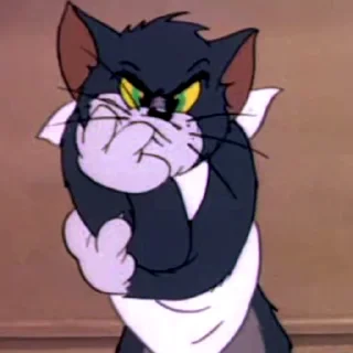 Tom&Jerry — 17