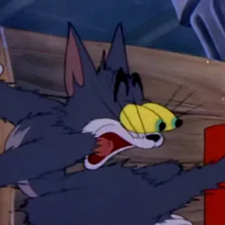 Tom&Jerry — 19