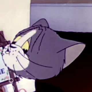 Tom&Jerry — 3