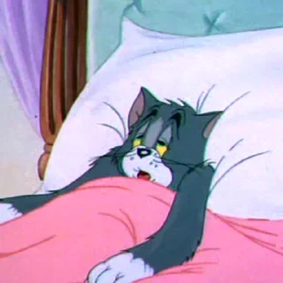 Tom&Jerry — 23